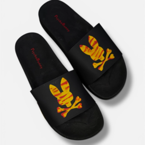 Photoroom_20260206_121424