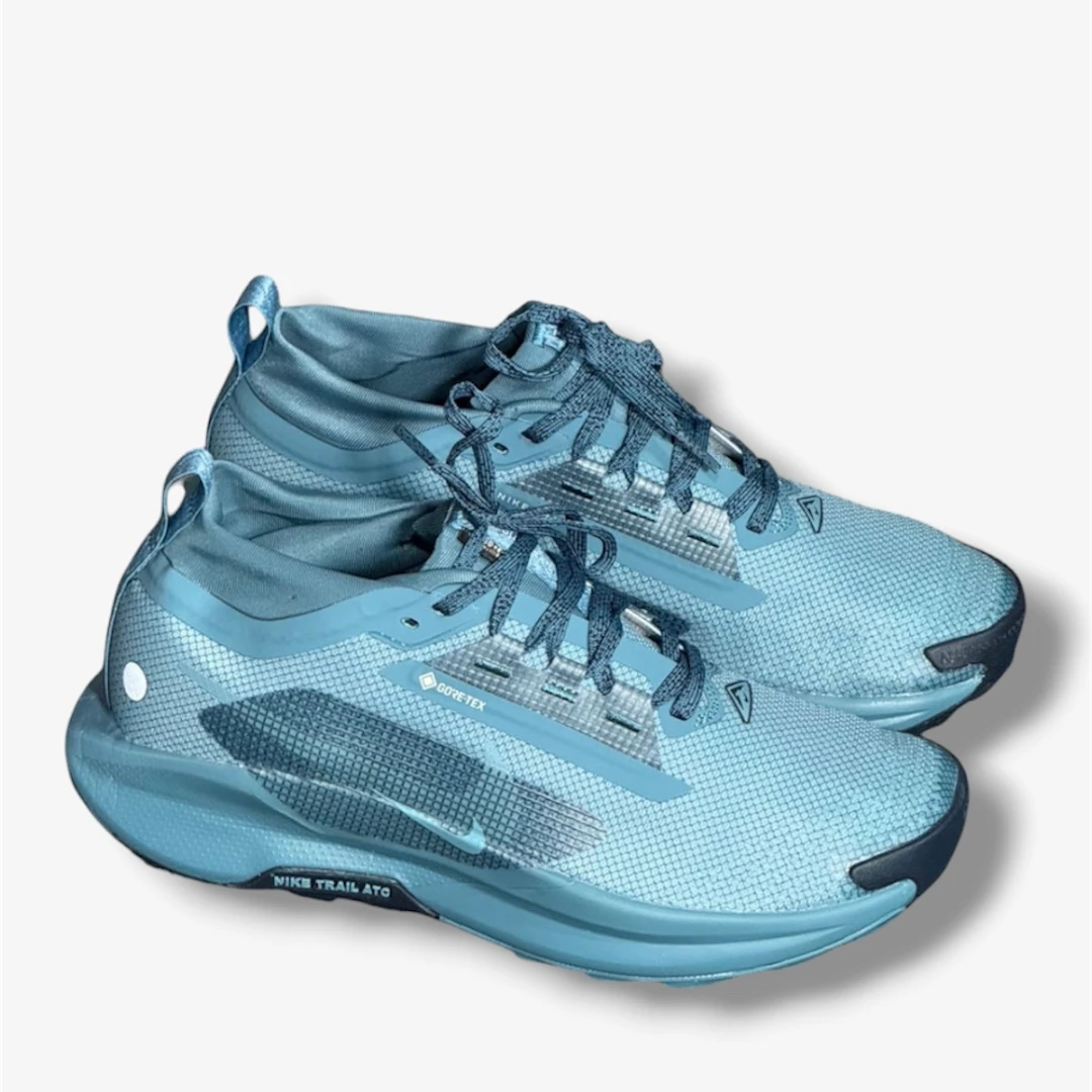 Nike Pegasus Trail 5 Gore-TEX Azul