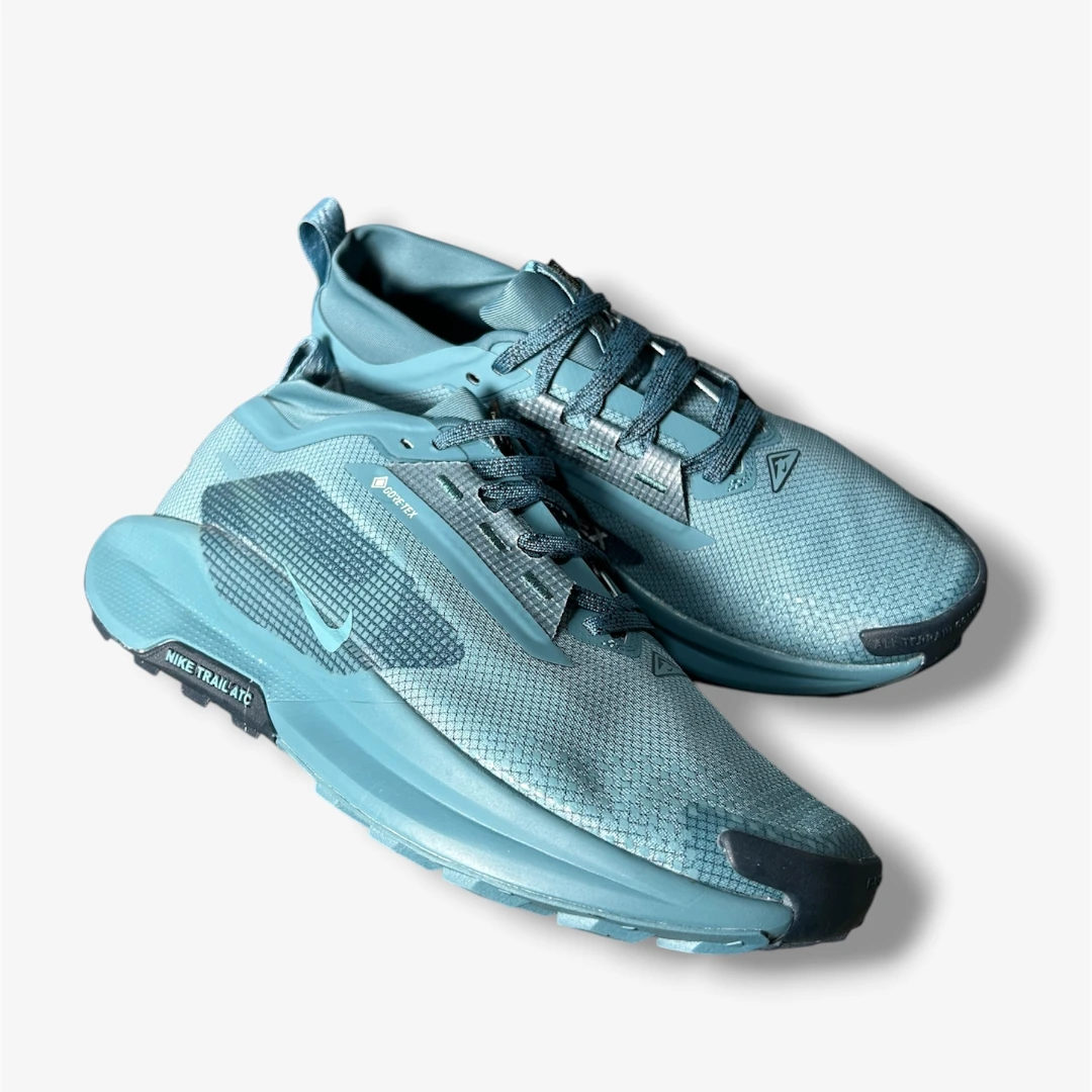 Nike Pegasus Trail 5 Gore-TEX Azul - Image 2
